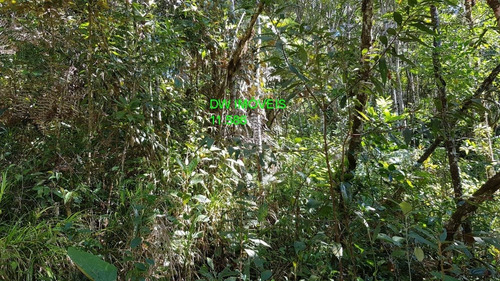 Imagem 15 de 19 de Juquitiba/terreno Com Mata E Nascente. - 05000 - 68089597