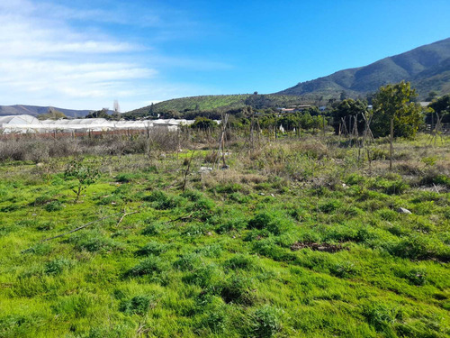 ¡venta De Parcela En El Boco, Quillota! (36476)