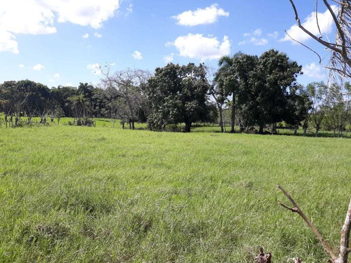 Té Vendo Excelente Solar En Santo Domingo