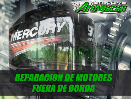 Imagen 1 de 6 de Service Y Reparación De Motores Fuera De Borda