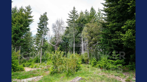 Imagen 2 de 14 de Venta Lote/terreno 2983m2 Barrio Puerto Nahuel - A Metros Del Lago Nahuel Huapi, Villa La Angostura