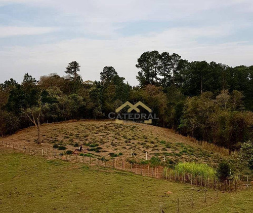 Imagem 2 de 6 de Terreno À Venda, 5200 M² Por R$ 392.200,00 - Guacuri - Itupeva/sp - Te0036