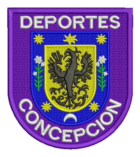 777 Deportes Concepción Segunda División Parche Bordado