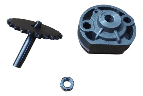 Bomba Aceite Bera R1 200cc
