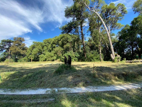 Excelentes Lotes A La Venta En Bella Vista