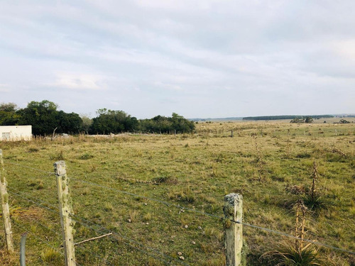 Chacra - José Ignacio