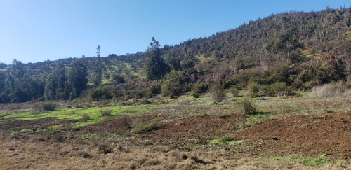 Imagen 4 de 15 de Increíble Parcela De 5000, Caminos Las Guias,naltagua