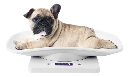 High Precision Digital Scale Dogs Cats Animal Scale
