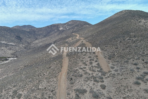 22 Parcelas De 5,000 M2 En Venta El Hinojal,valle De Elqui.