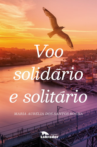 Voo solidário e solitário, de dos Santos Rocha, Maria Aurélia. Editora Labrador Ltda, capa mole em português, 2020