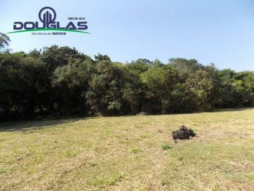 Imagem 10 de 15 de 2 Ha ,800 Mts Do Asfalto. - 845