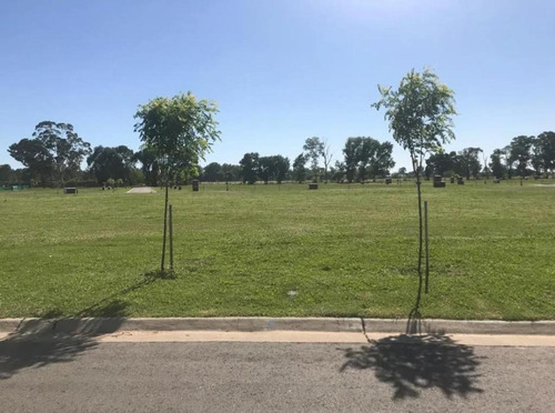 Imagen 3 de 4 de Excelente Lote A La Venta Barrio San Ramon Pilar Del Este