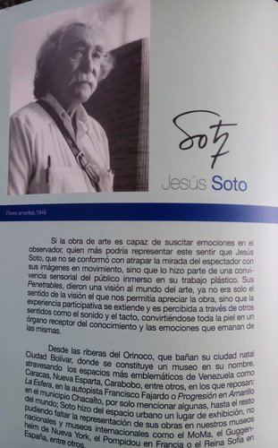 Jesús Soto Cosmos En Estado De Vibración. Centenario
