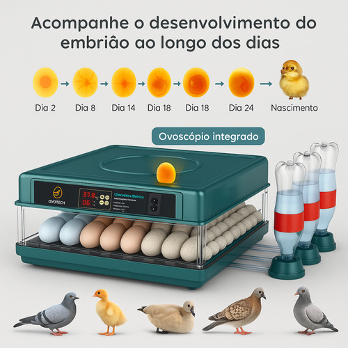 Chocadeira Para Ovos Incubadora Automática Ovoscópio 48 Ovos