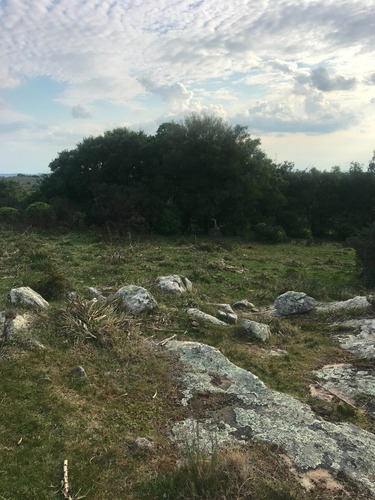 Campo Con Cerro En Ruta 60