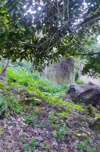Imagen 2 de 3 de Últimas 10 Mz Finca Las Arrazolas Pueblo Nuevo Viñas/ixpaco