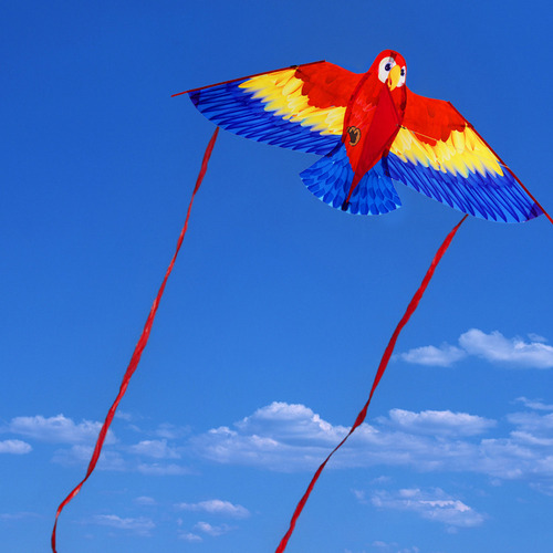 Cometa Con Forma De Loro 3d Para Diversión En La Playa
