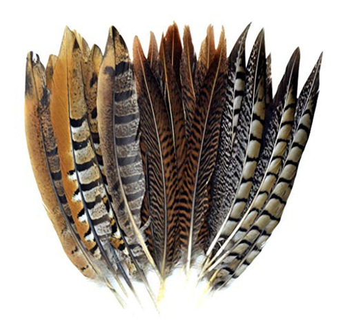 Obmwang 21 Plumas De Faisán Natural De 20 A 25p Manualidade