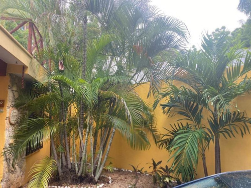 Imagen 5 de 12 de Casa Sola En Renta Merida Centro