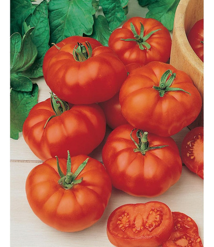 100 Semillas De Tomate Beefsteak Marmande