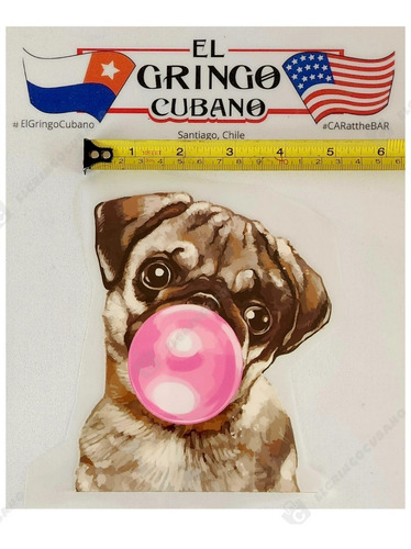 Parche Vinilo Termoadhesivo Diferente Diseños De Mascotas