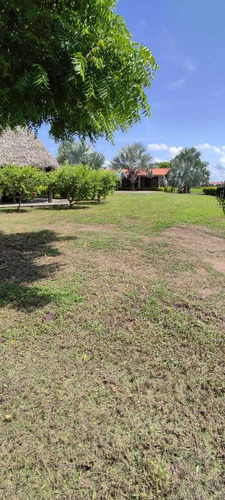 Imagen 2 de 14 de En Venta Finca Productiva En Dos Caminos Guárico