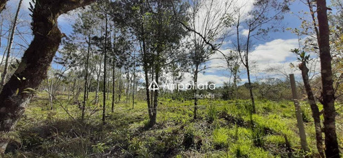 Chácara À Venda, 2.000 M² Por R$ 210.000 - Chácaras Olhos D´água - Campina Grande Do Sul/pr - Ch0060