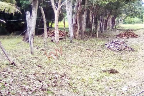 Lote En Venta En Bacalar - Uso De Suelo Mixto - Frente A Carretera Federal 307 - En Esquina - A ...