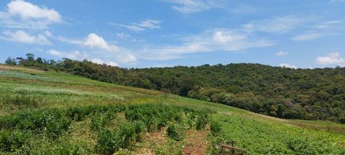 Imagem 6 de 20 de Vendo Terreno Com Otima Topografia / 15o