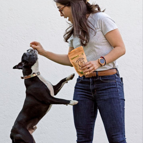 Imagen 6 de 8 de Premios Para Perro Naturales Qkis Paquete De 4