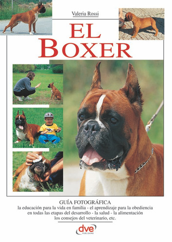 El Boxer, De Valeria Rossi