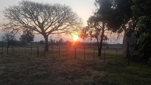 Imagen 6 de 14 de El Loteo Más Elegido De Esquina - Corrientes!