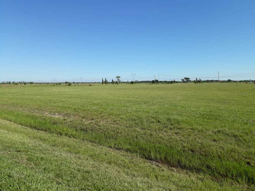 Imagen 6 de 14 de Delpa Vende Lote En Chacras Del Golf