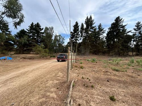 Vass Vende Parcela Desde 1600 M2 En Los Pinos Reñaca. Viña