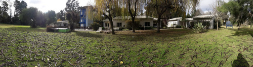 Cabañas En Ciudad De Chascomús