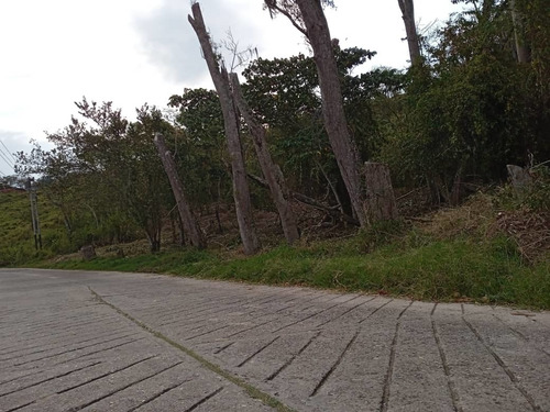 Imagen 4 de 8 de Lote De Terreno En El Valle 1.068mts