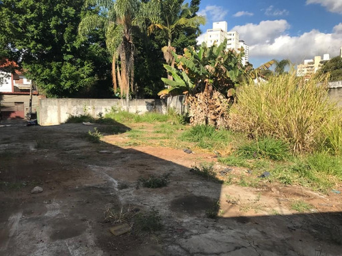 Imagem 5 de 8 de 197 -terreno No Bairro Do Butantã Para Venda 550m²