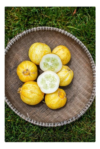 100 Semillas De Pepino Limon