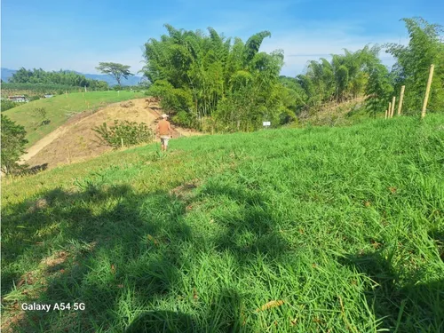 Venta Lotes En Quimbaya -quindío Colombia Cod: 7555717