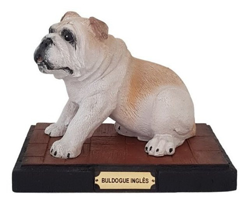 Cachorro Estatueta Bulldog Inglês Bege Em Resina Na Base 