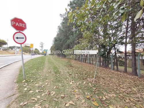 Imagem 13 de 15 de Terreno Comercial - Alem Ponte - Ref: 30742 - V-30742