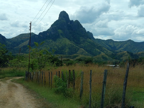Se Vende Finca En Edo. Aragua 380 Hectareas