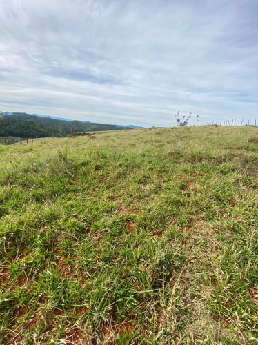 Imagem 3 de 11 de M07 Lindos Terrenos De 1000m Em Santa Isabel A Venda