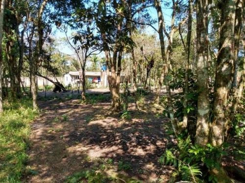 Imagem 10 de 14 de Chácara No Jardim Coronel Em Itanhaém