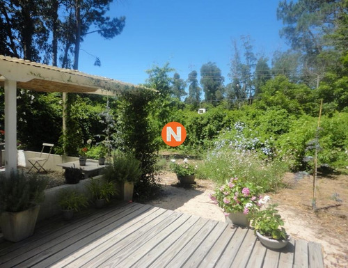 Casa En Venta Y Alquiler, Rincón Del Indio, Punta Del Este, 3 Dormitorios.- Ref: 207187