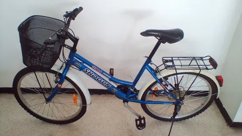 Bicicleta Rin 24 Sifrina (Usado)