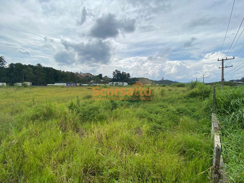 Imagem 3 de 4 de Área À Venda, Potuverá, Itapecerica Da Serra/sp - 747