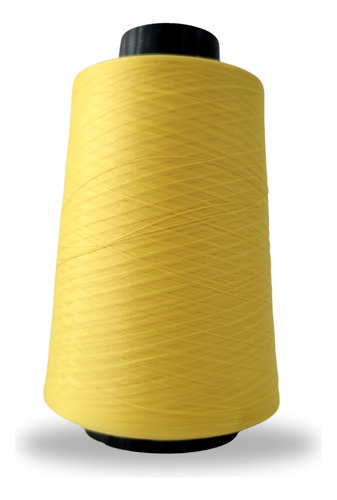 Linha Para Overlock 100g 100% Poliester (tex18) Linhanyl Cor 1024