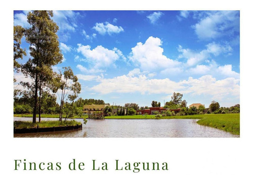 Imagen 2 de 12 de Terreno - Fincas De San Vicente Laguna - Lote Con Fondo Al Lago -
