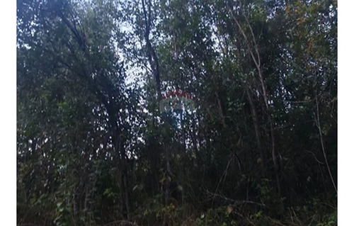 Parcela En Huincara, Villarrica
